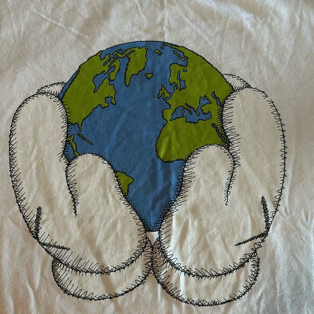 Kaws t-shirt, brand new, never worn dead stock with tags. size XXL